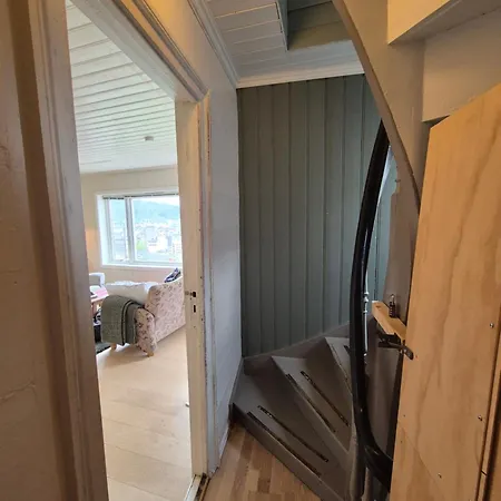 Apartamento I Autentisk Bergenshus Med Unik Utsikt Og Privat Hage Bergen