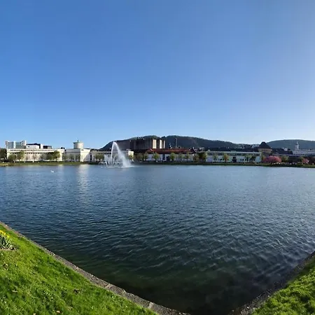 Appartement I Autentisk Bergenshus Med Unik Utsikt Og Privat Hage